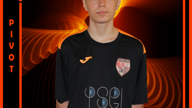 Ansaloni Vinicius
